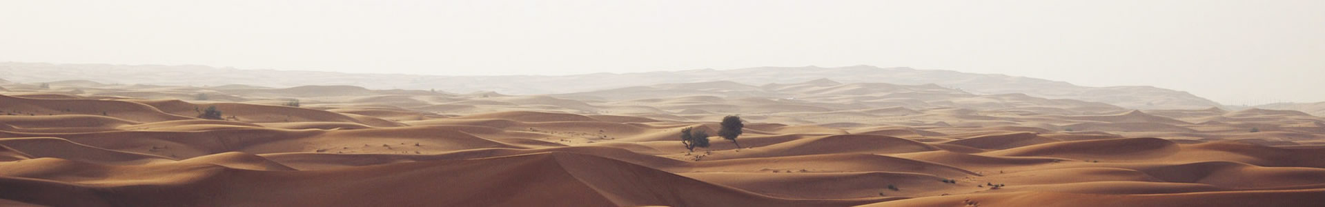 ƽɽĴƼ޹˾